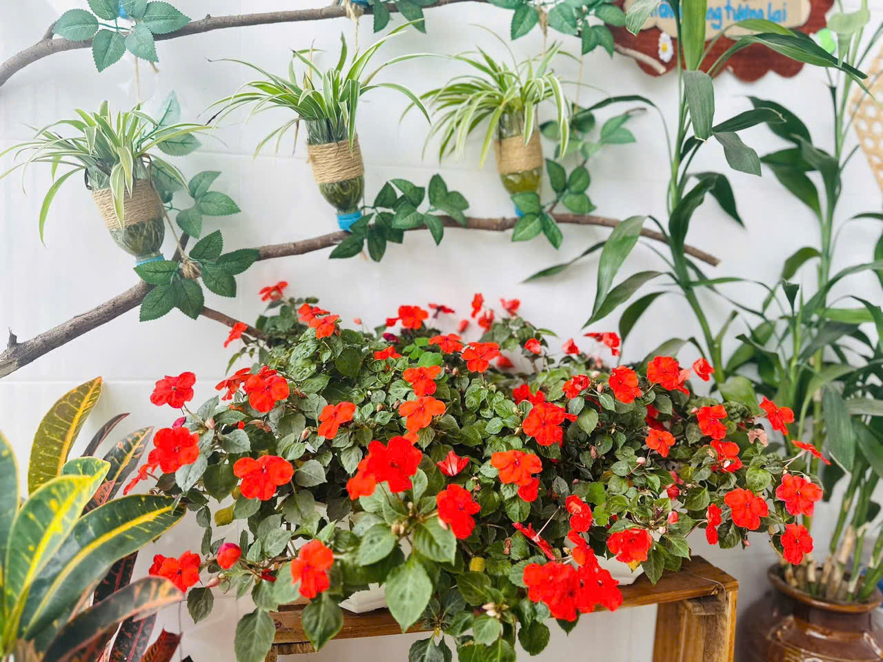 VƯỜN HOA MÙA XUÂN KHOE SẮC – ĐIỂM TÔ CHO NGÔI TRƯỜNG MẦM NON TÂN GIANG THÊM RỰC RỠ MUÔN MÀU